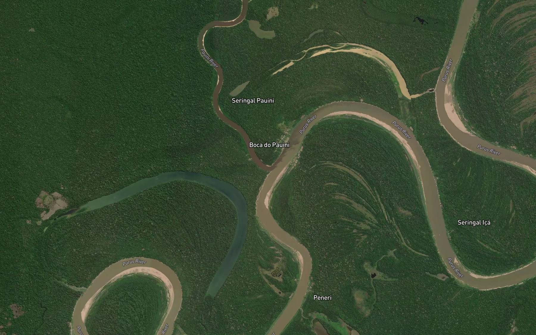 Satellite map of the Rio Pauini