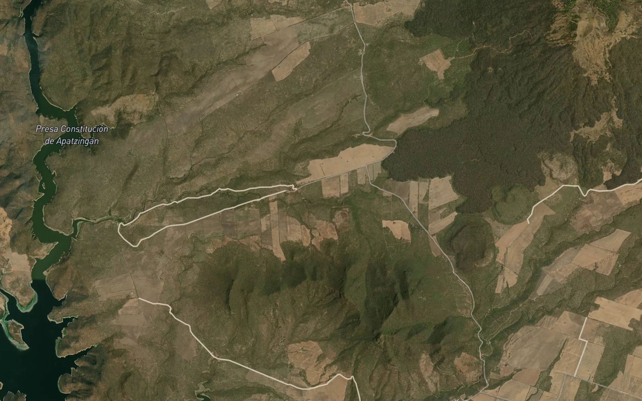 Barranca Tachinola
