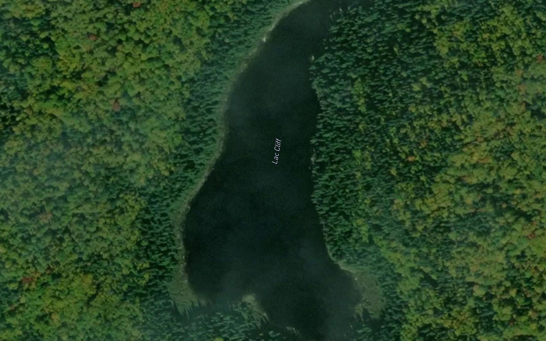 Satellite map of the Lac Cliff