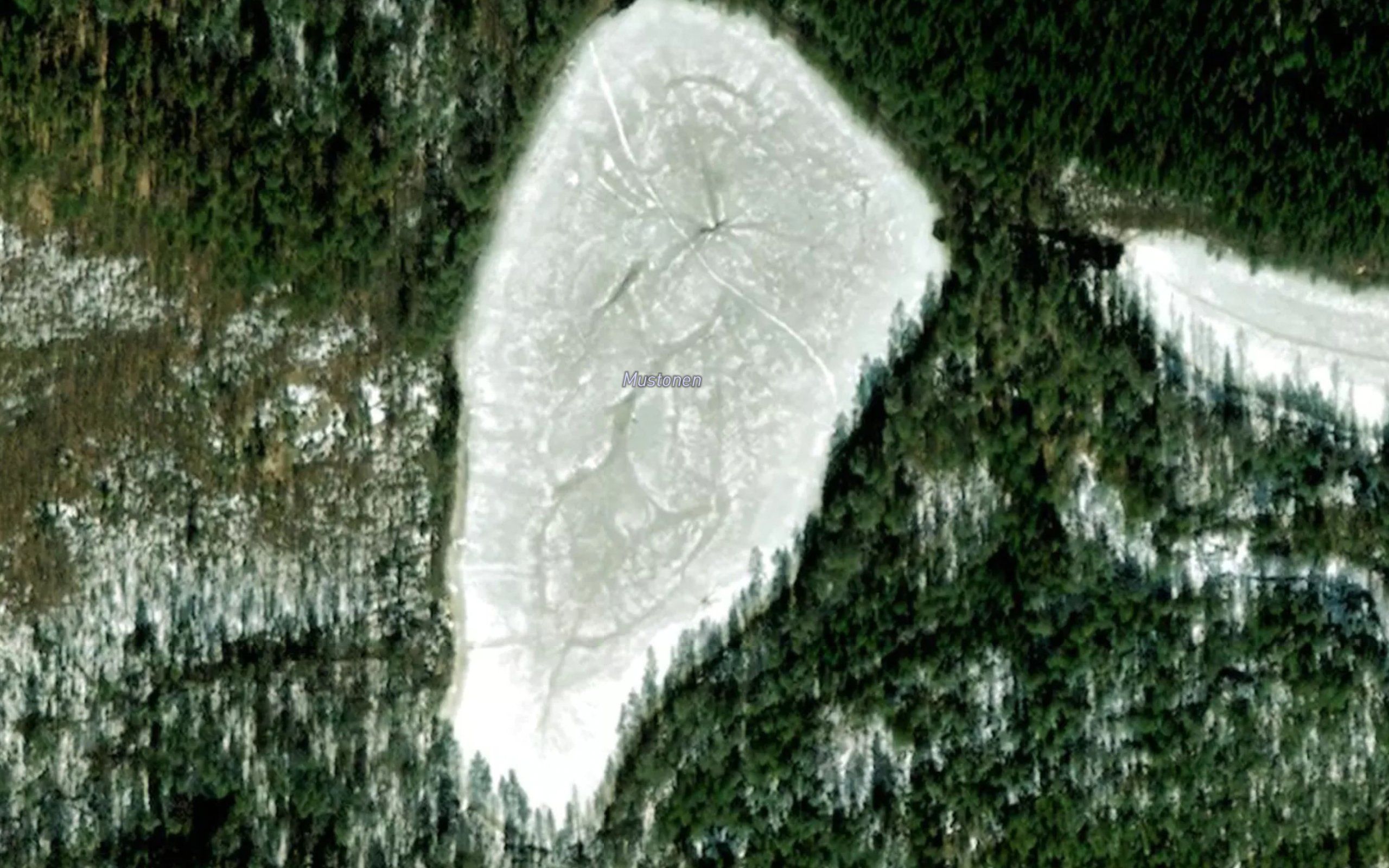 Mustonen