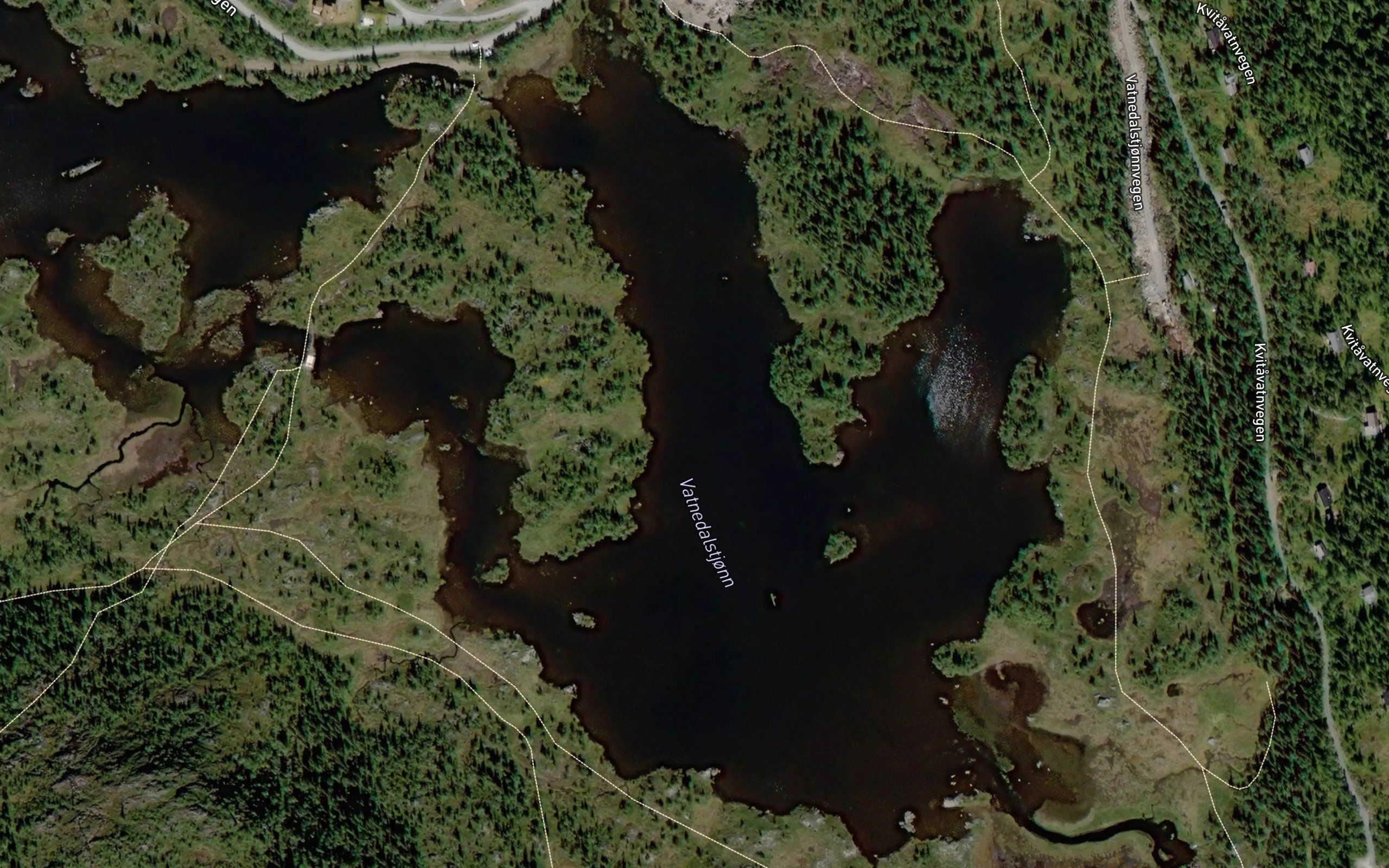 Vatnedalstjorni