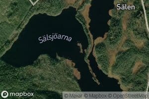 Saelsjoearna