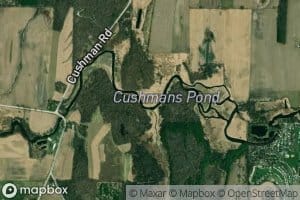Cushman Pond