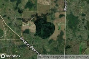 Brushy Pond