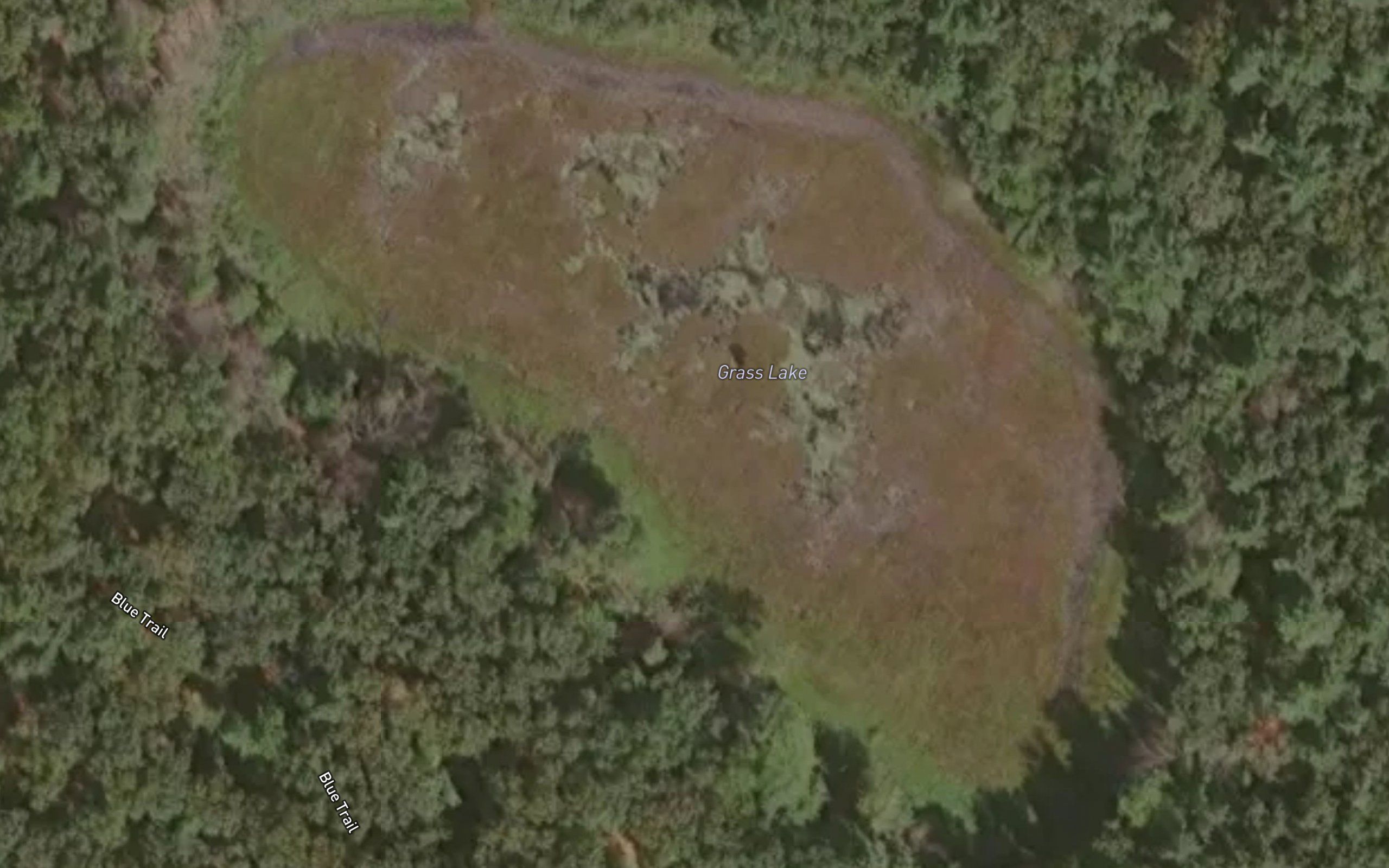 Grass Lake