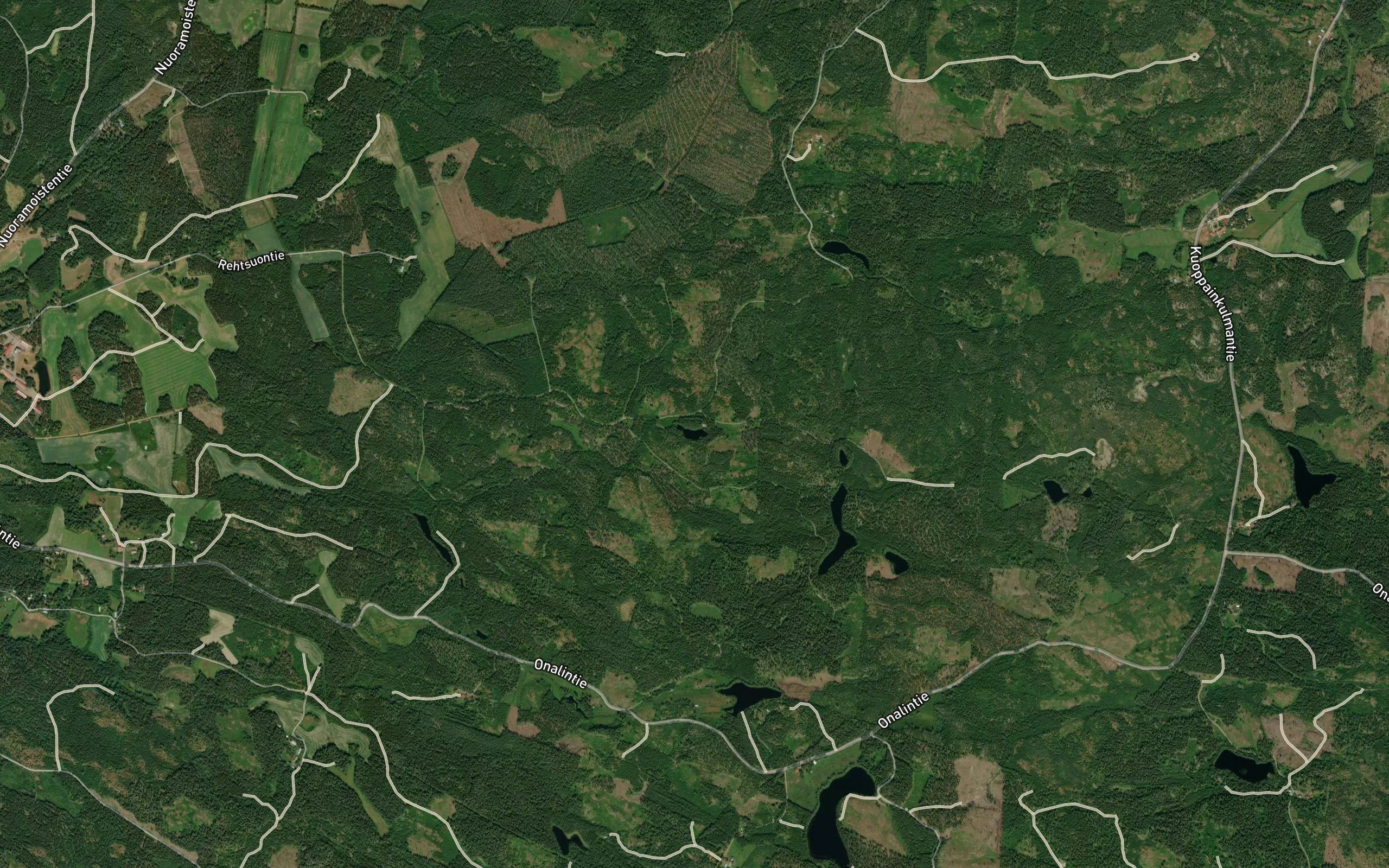 Nimetonlammi