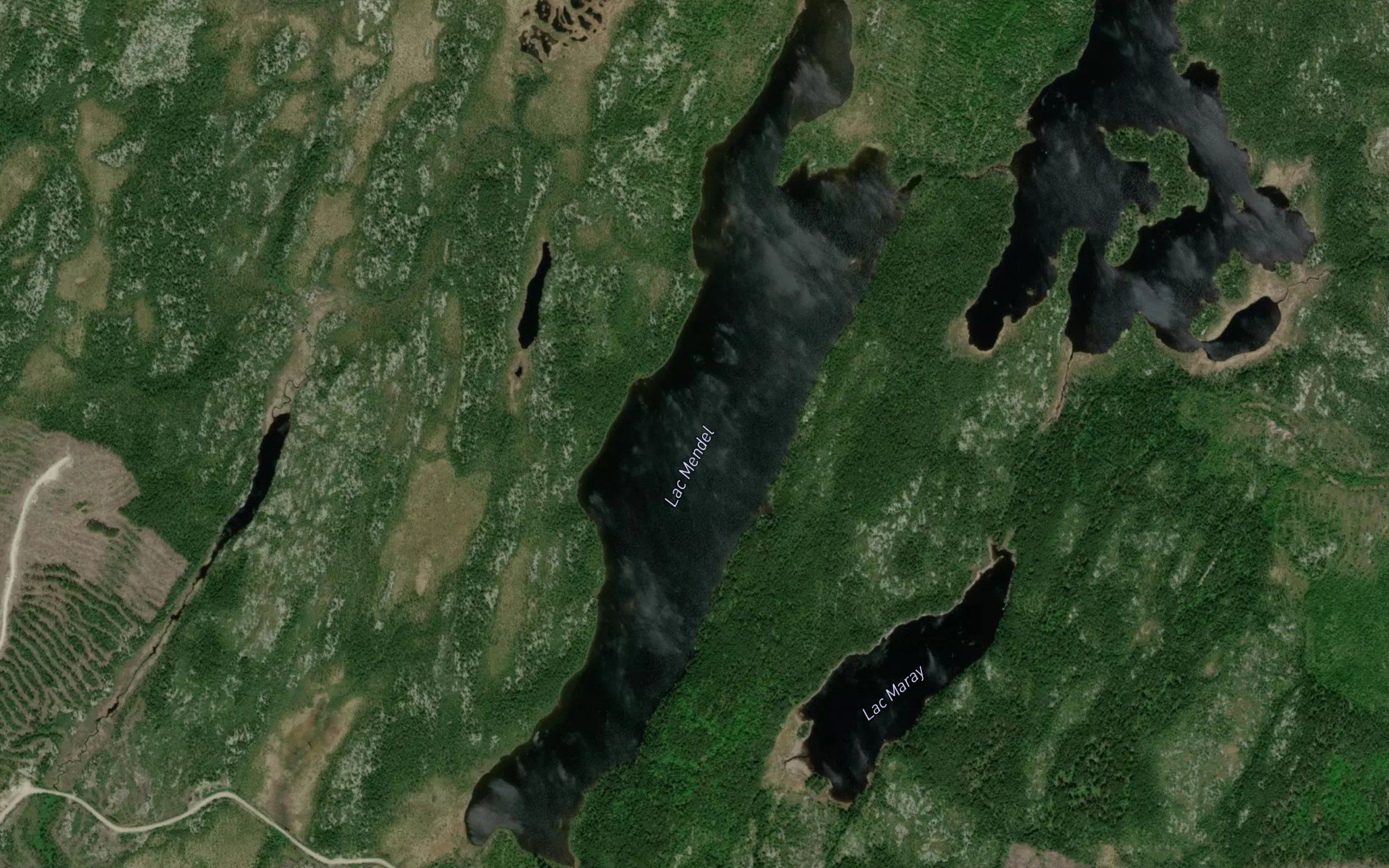 Lac Mendel
