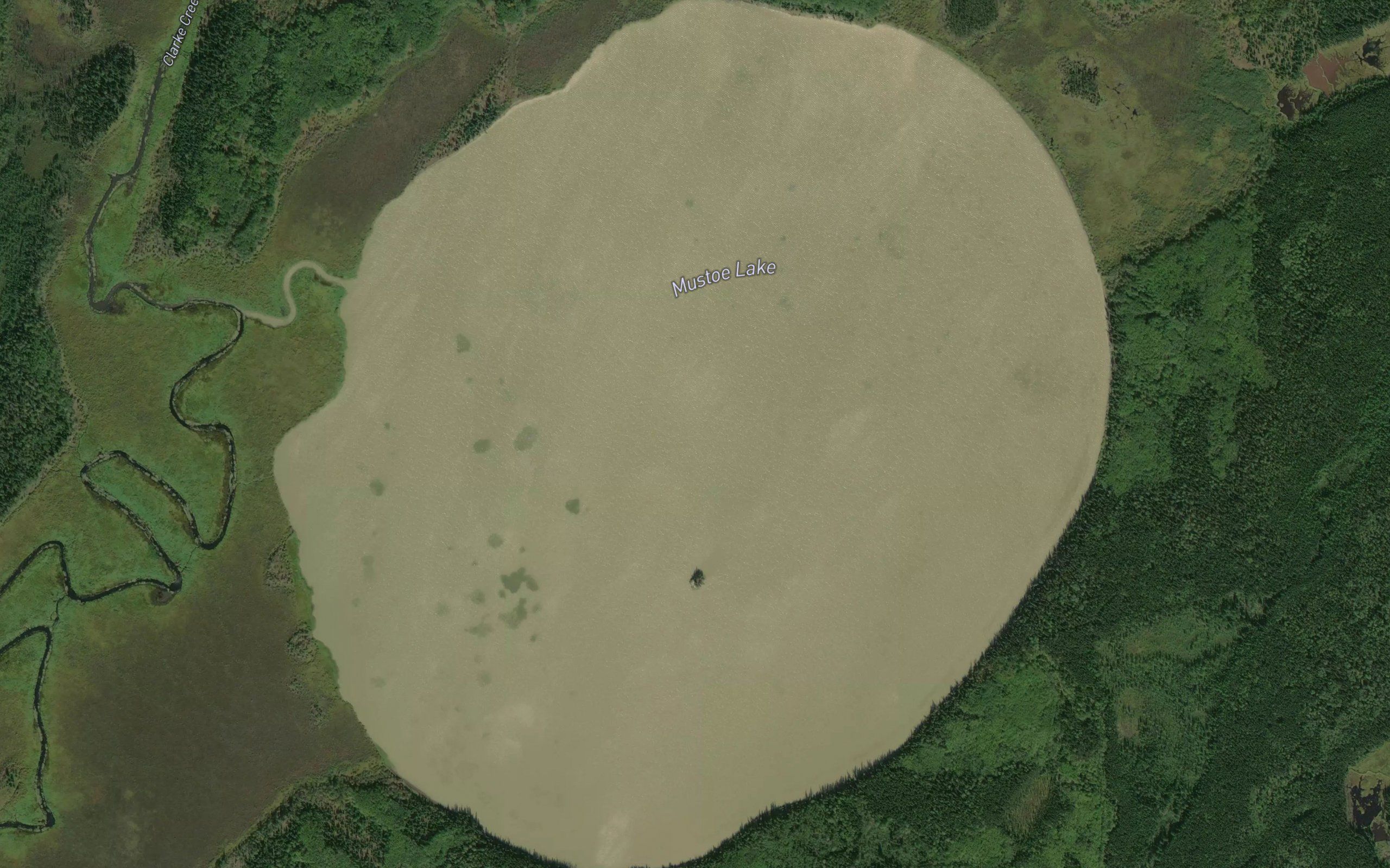 Mustoe Lake