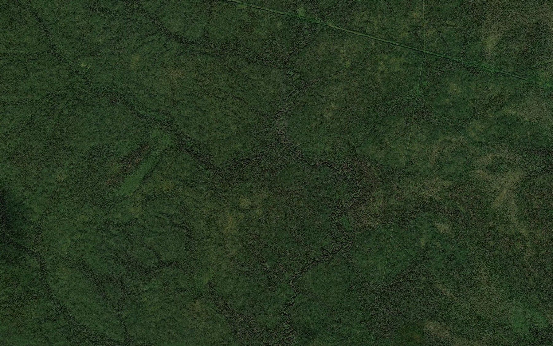 Satellite map of the Iz"yel'