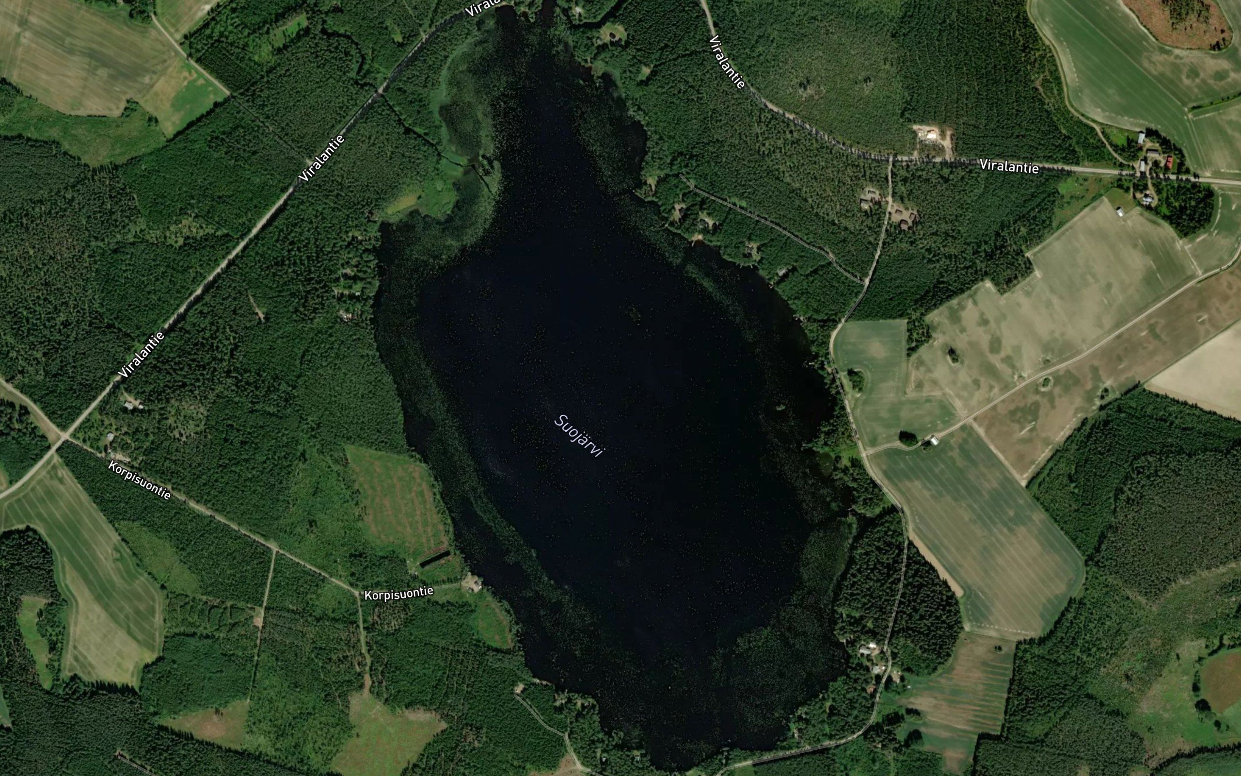 Suojarvi