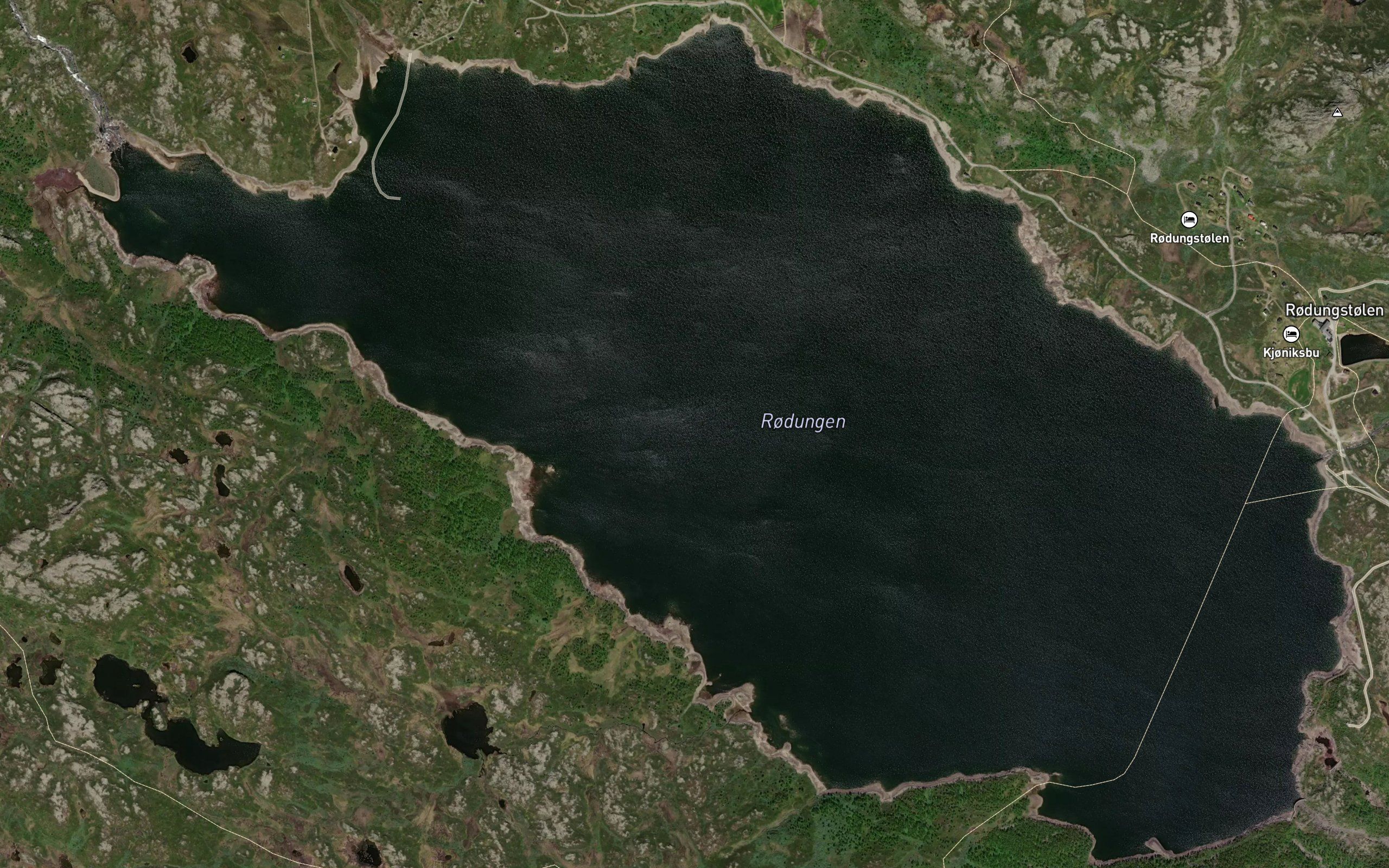 Rodungen