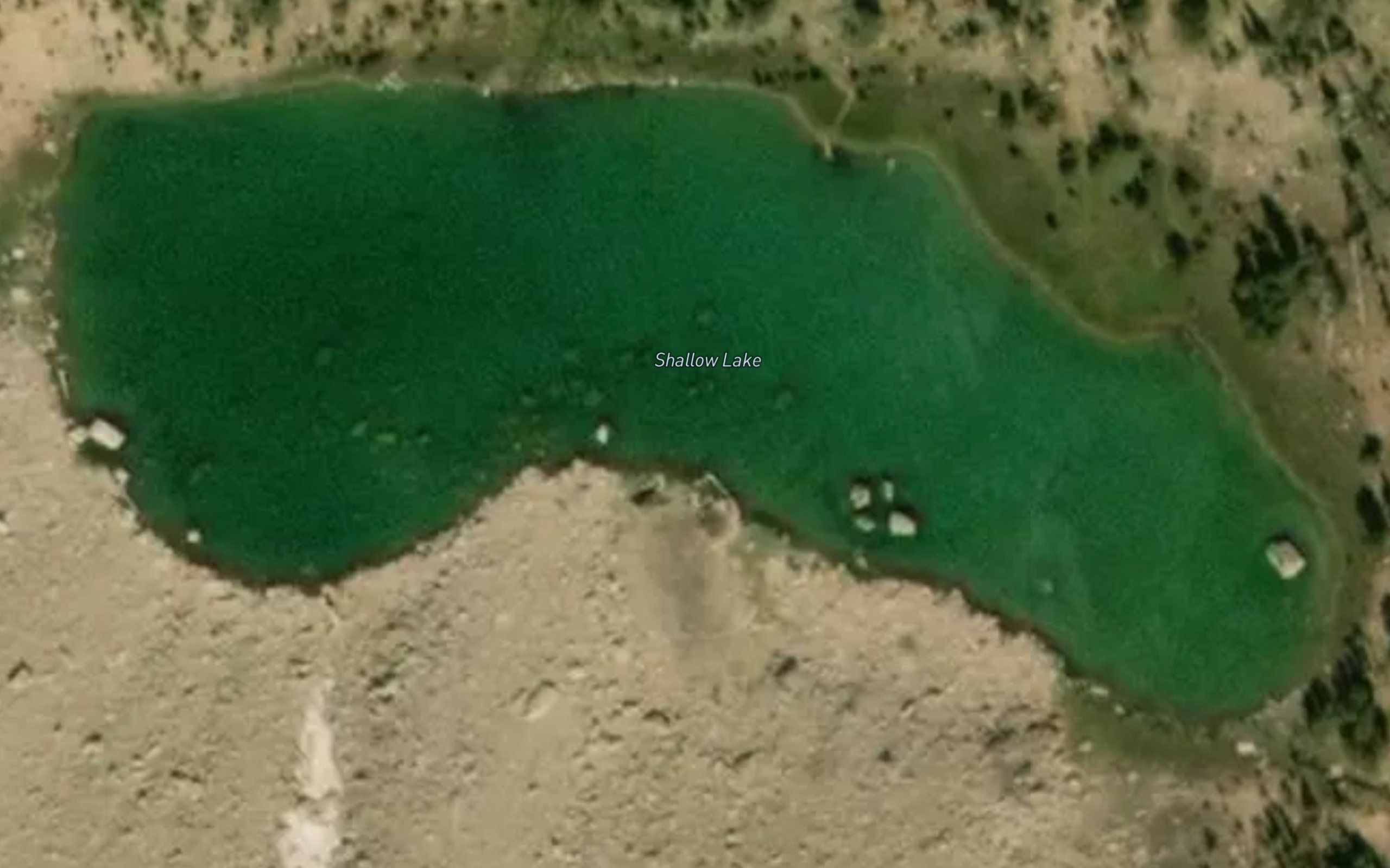 Shallow Lake
