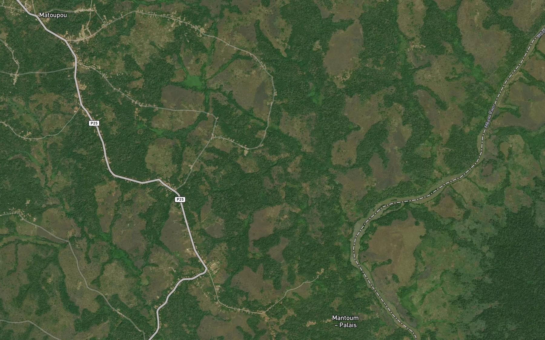 Satellite map of the Mi