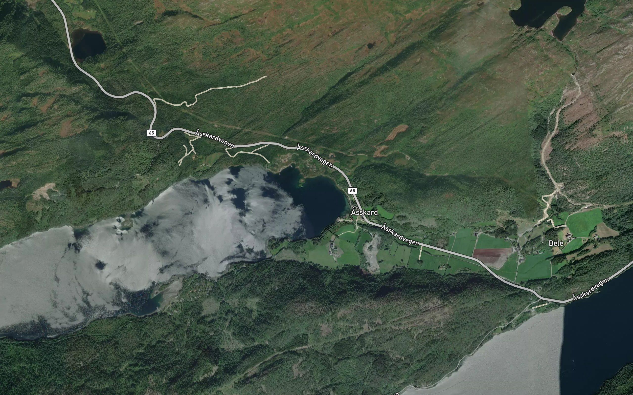 Asskardvagen