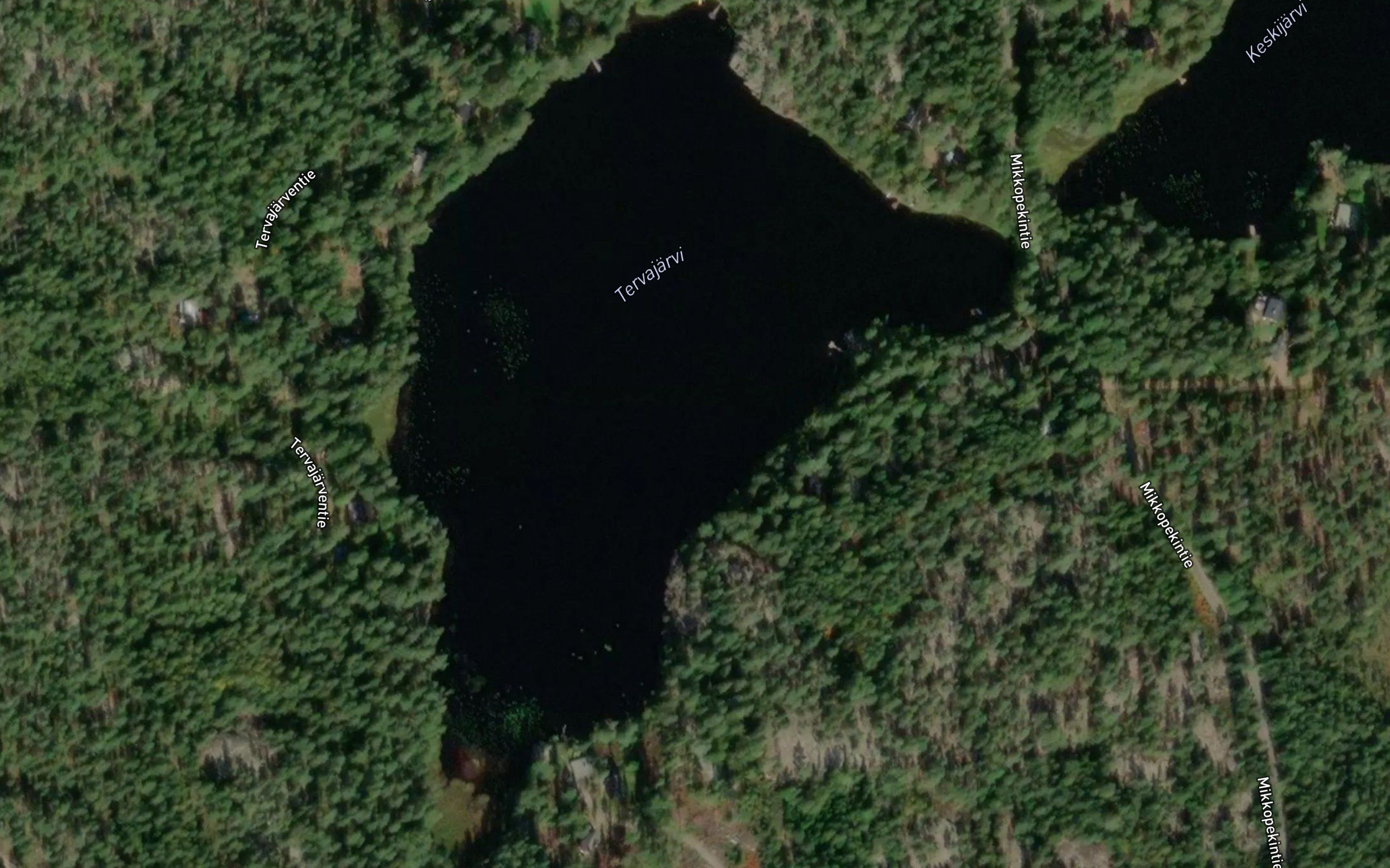 Tervajarvi