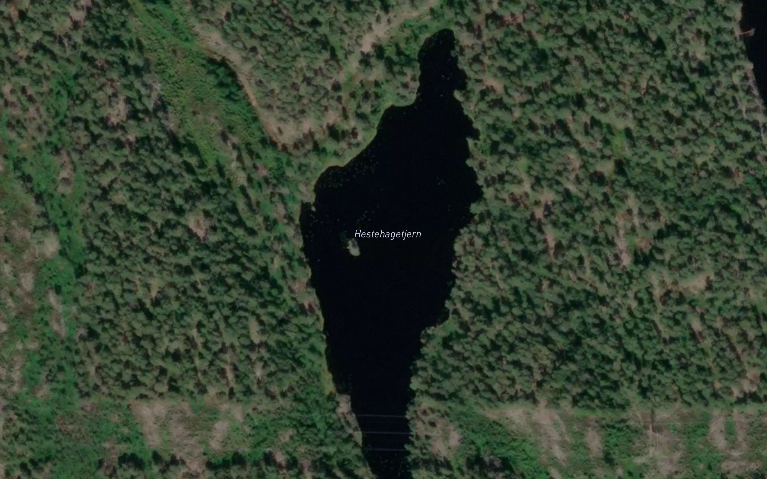 Hestehagetjern