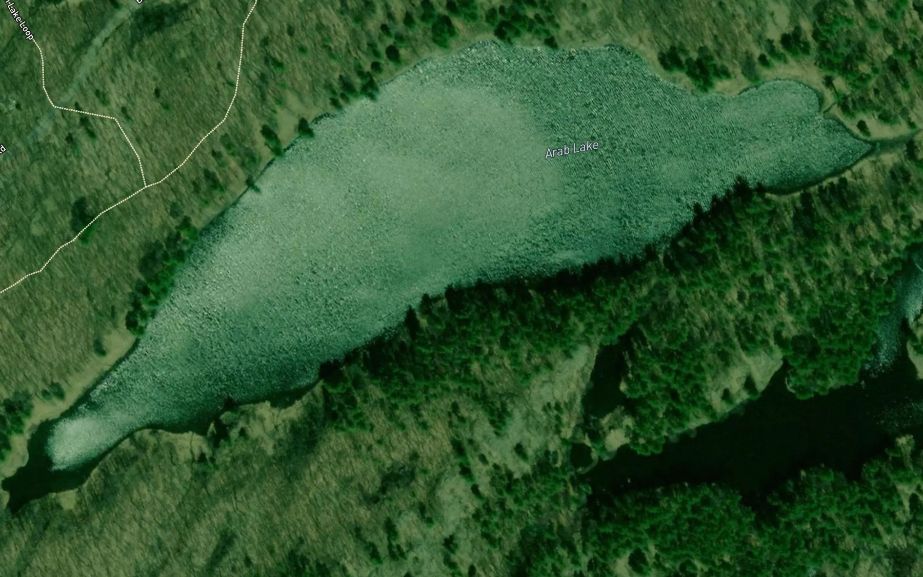 Satellite map of the Arab Lake