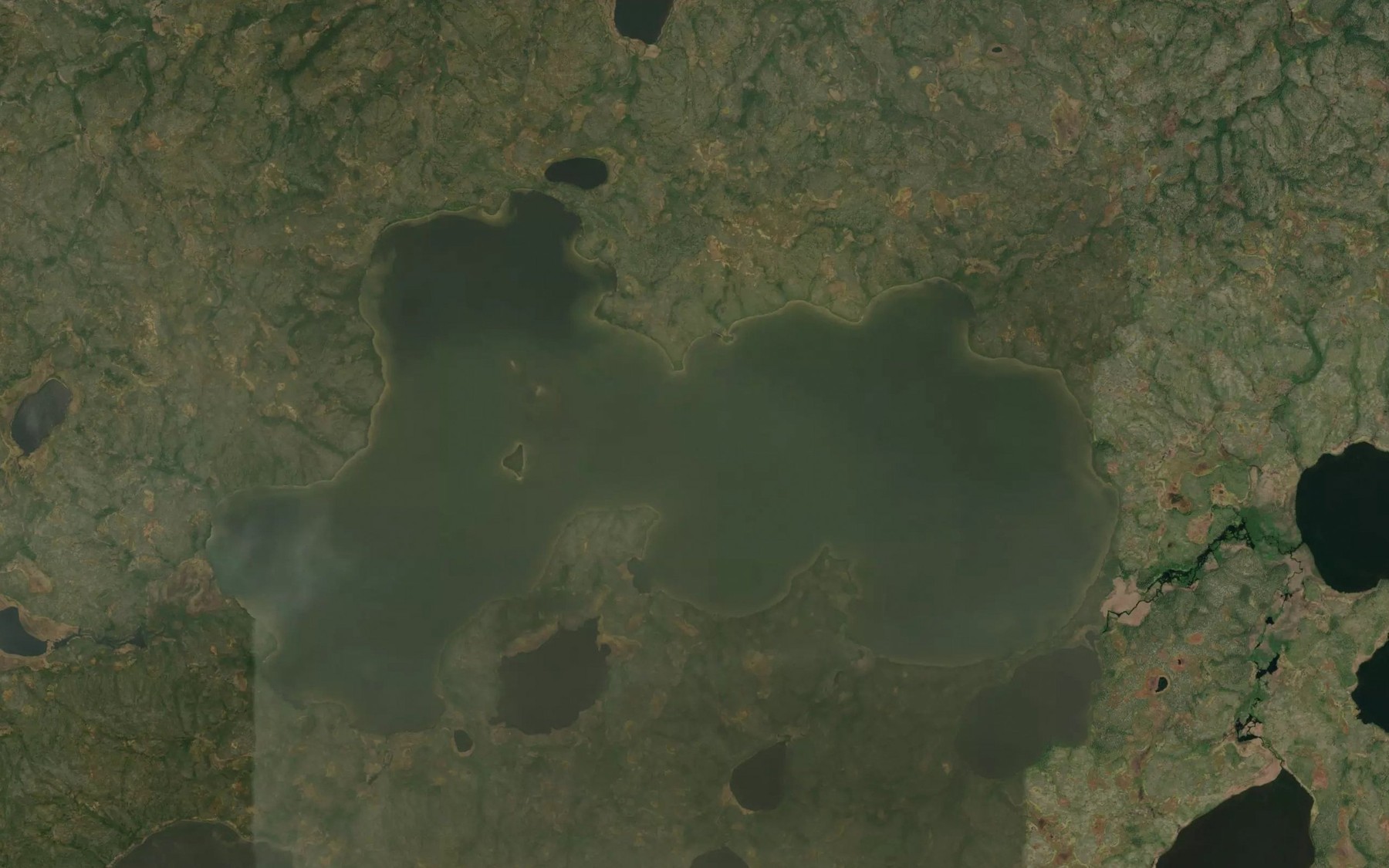 Satellite map of the Abraham Lake