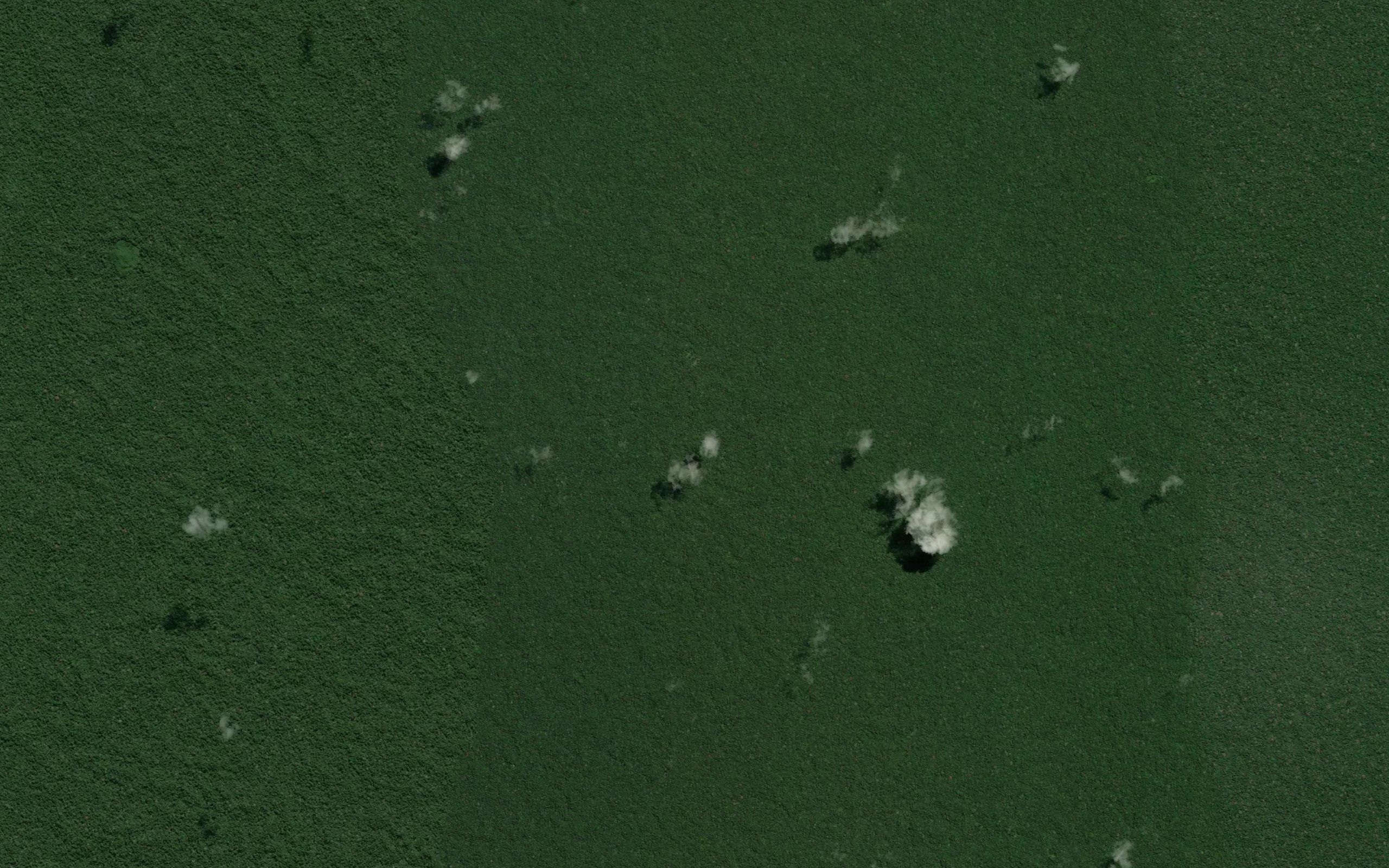Rio Pintoyacu