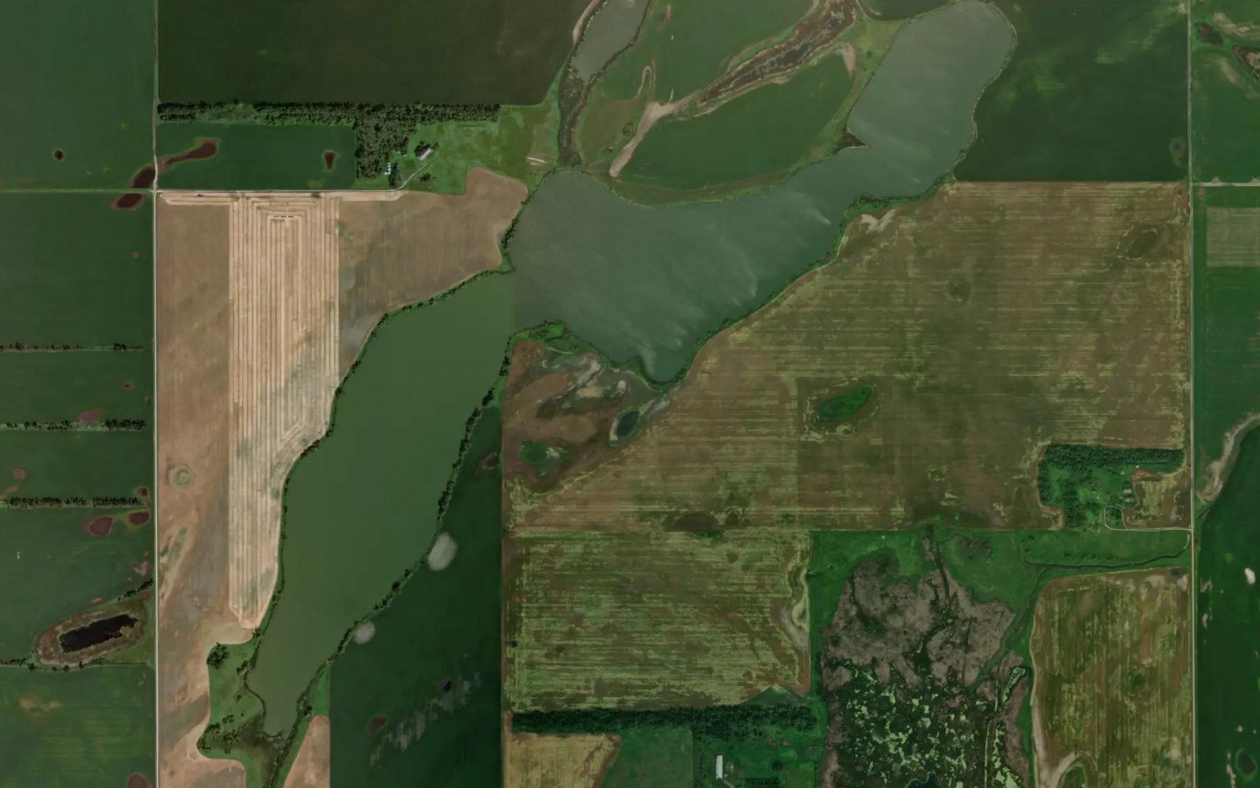 Lake Benson