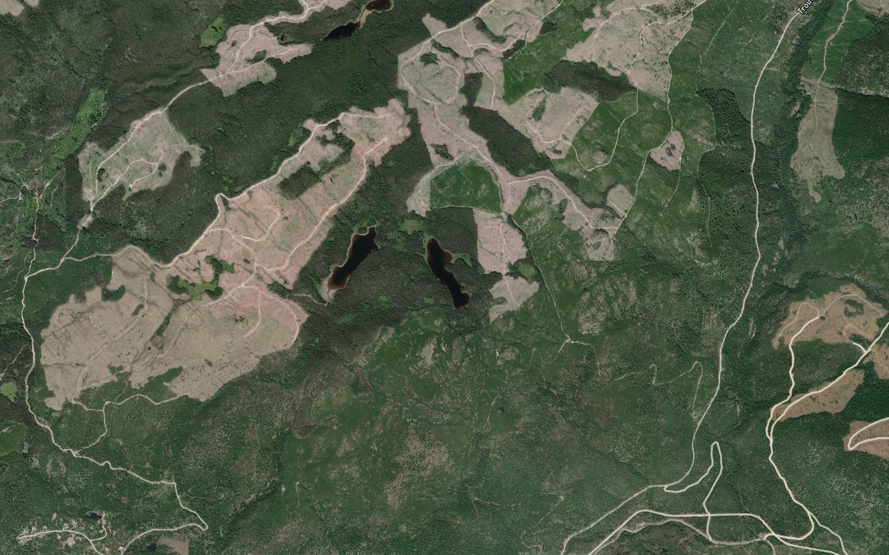 Satellite map of the Eastmere Lake