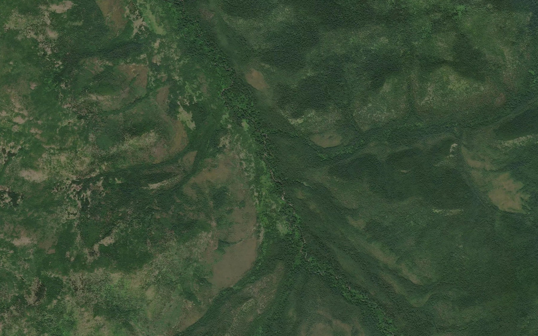 Satellite map of the Medvezhiy