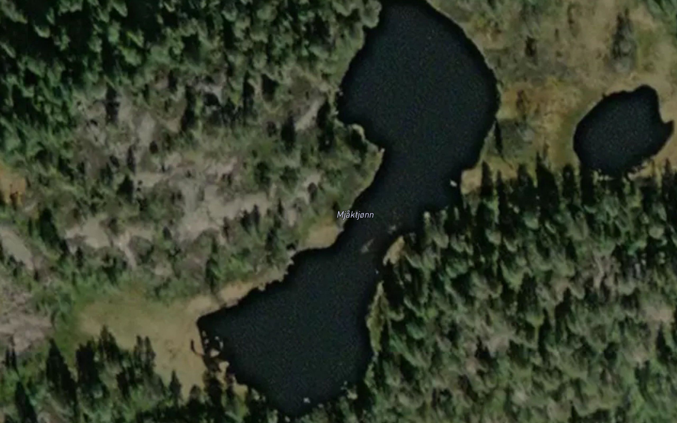 Mjaktjonn