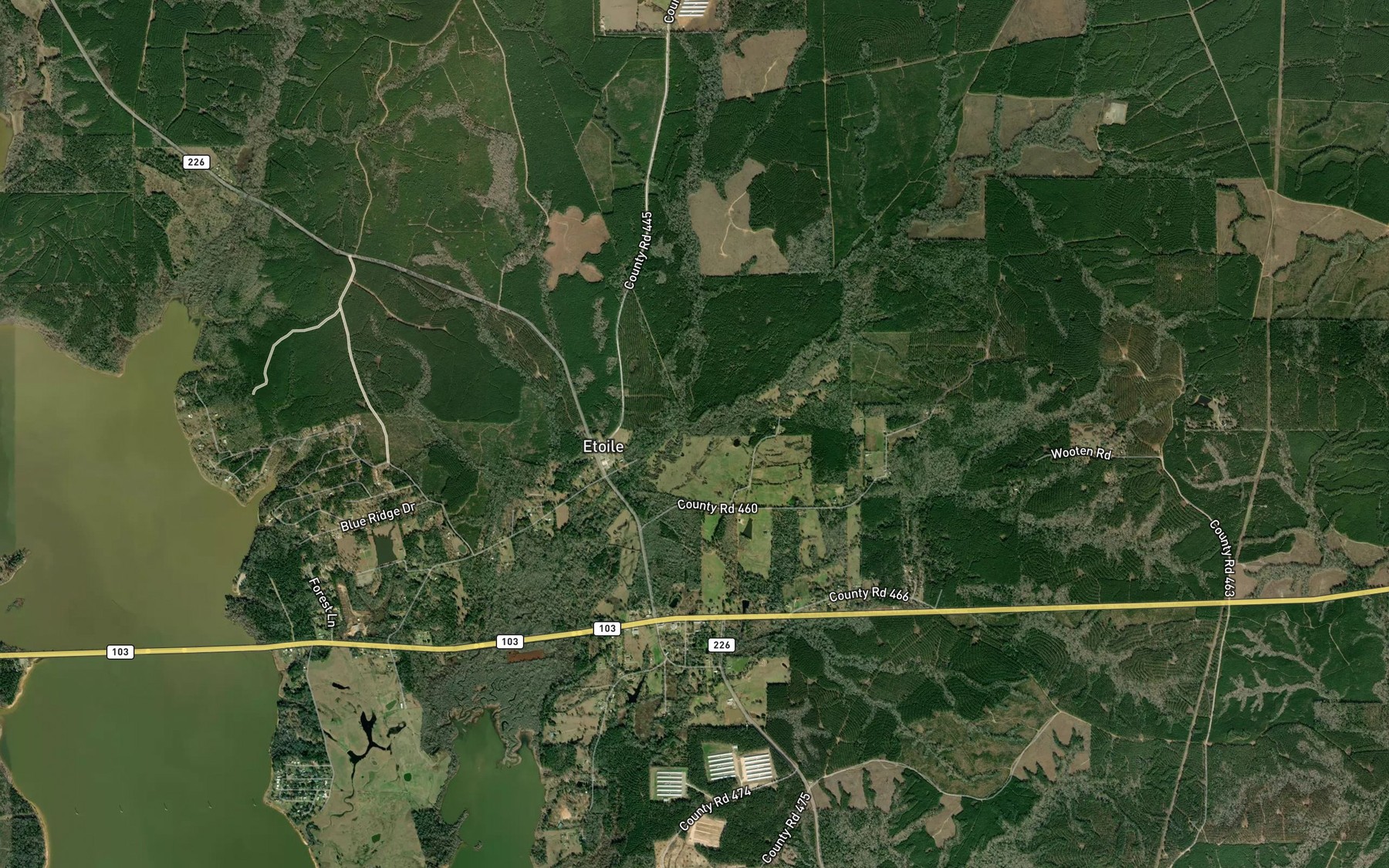 Satellite map of the Morton Creek