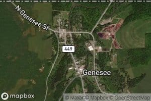 West Branch Genesee River