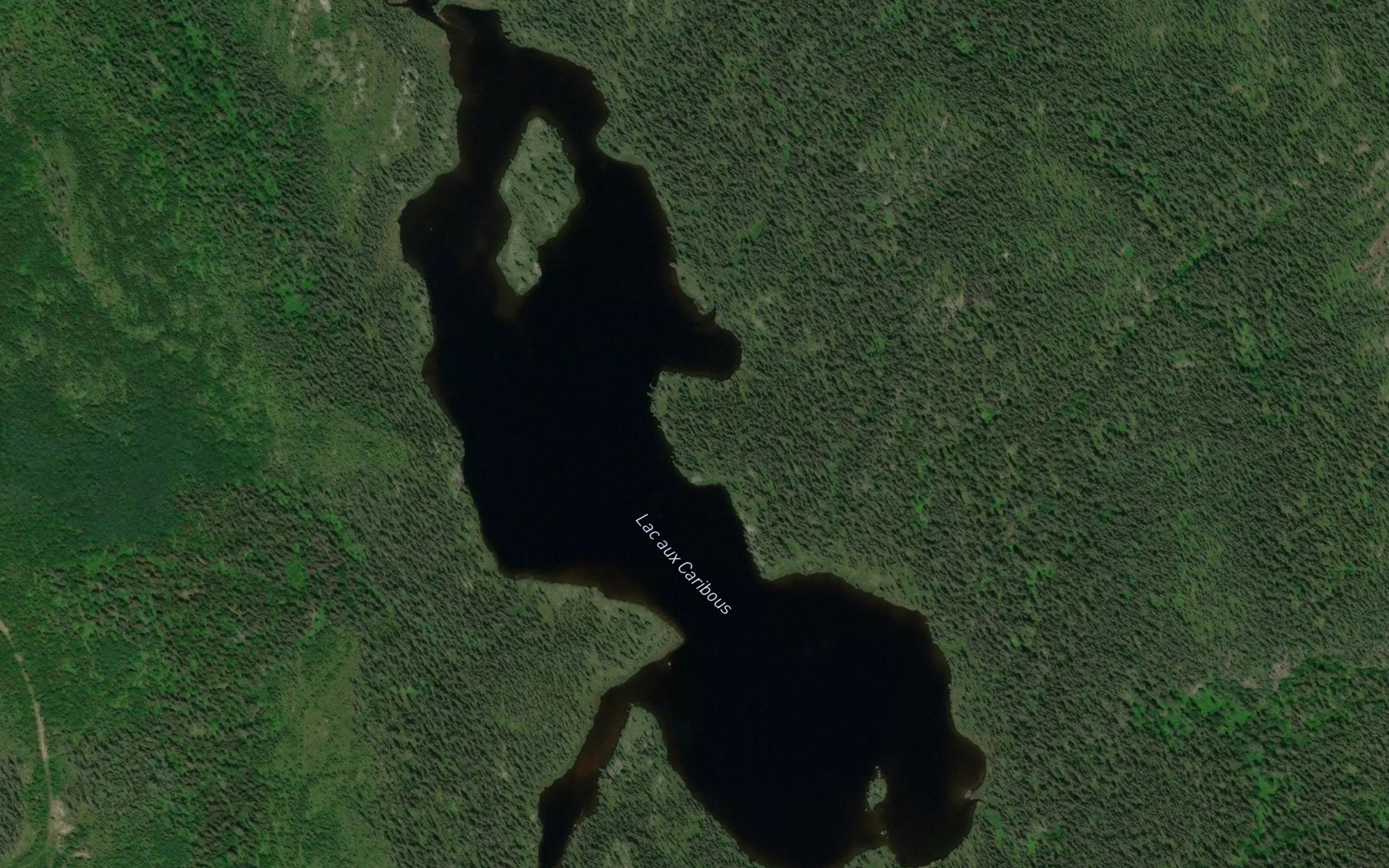 Satellite map of the Lac aux Caribous