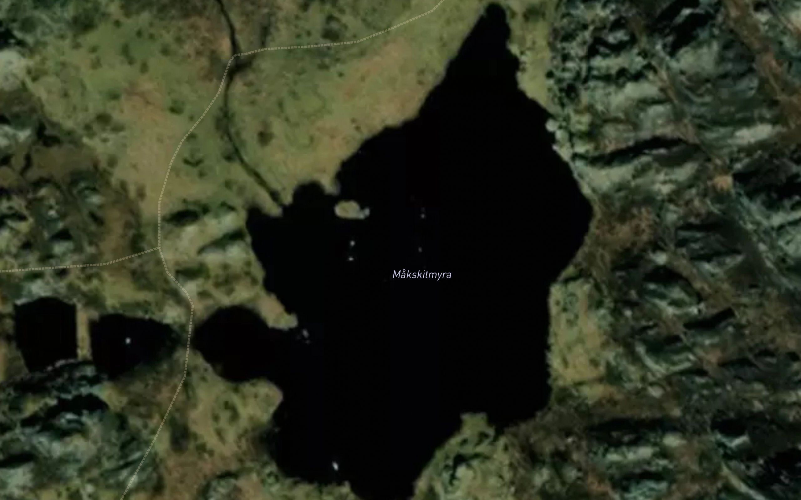Makskitmyra