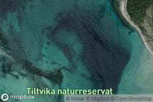 Titlvika