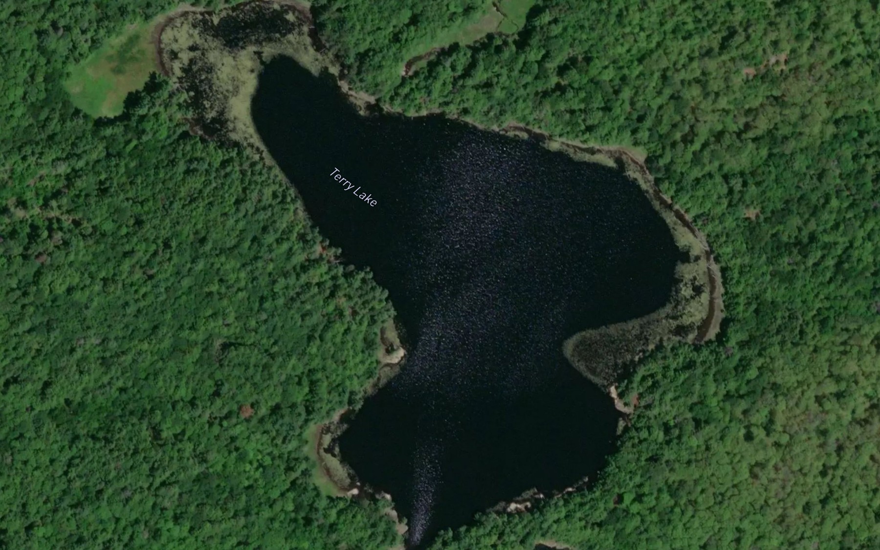 Satellite map of the Terry Lake