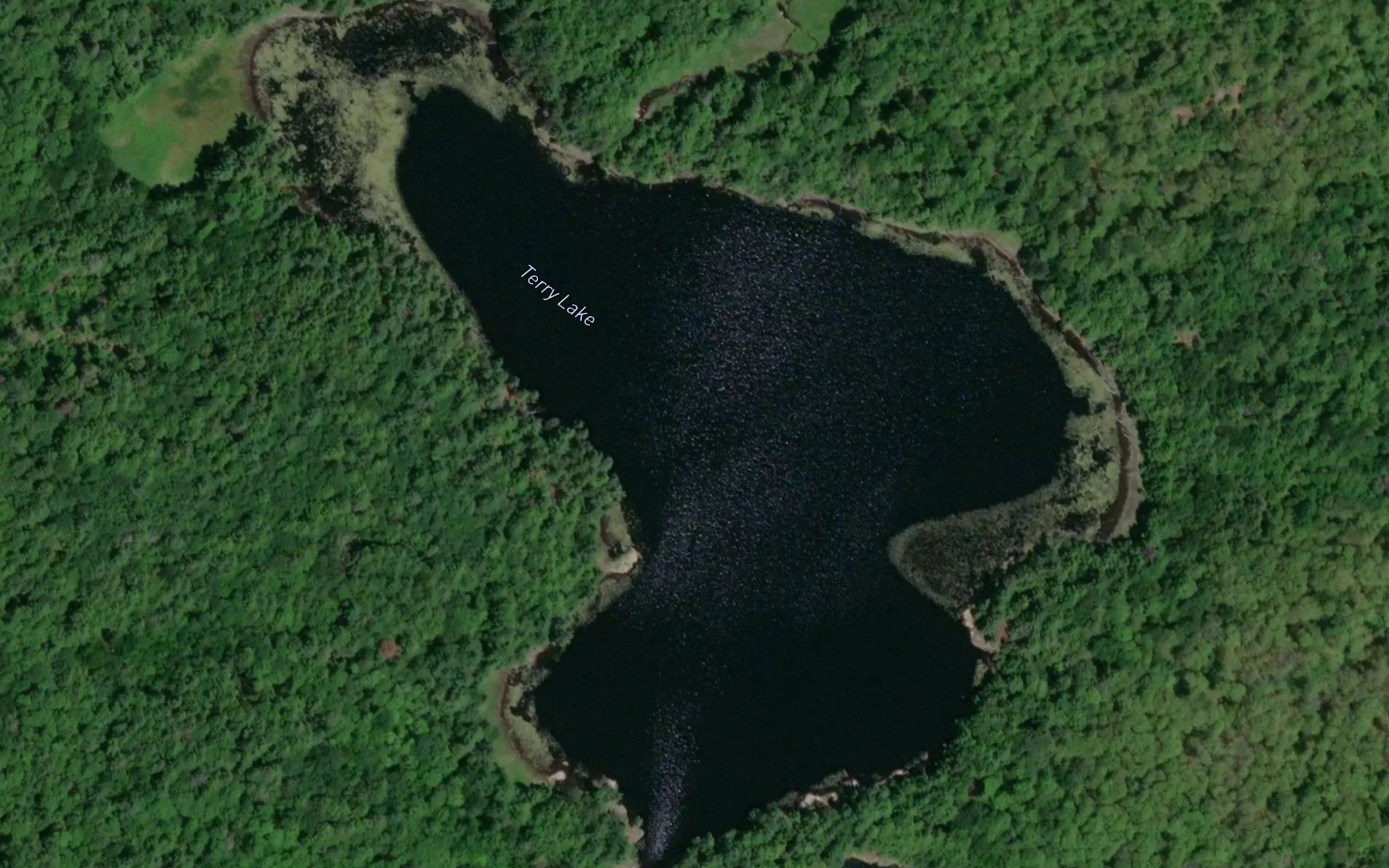 Terry Lake