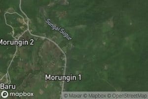 Sungai Merungin