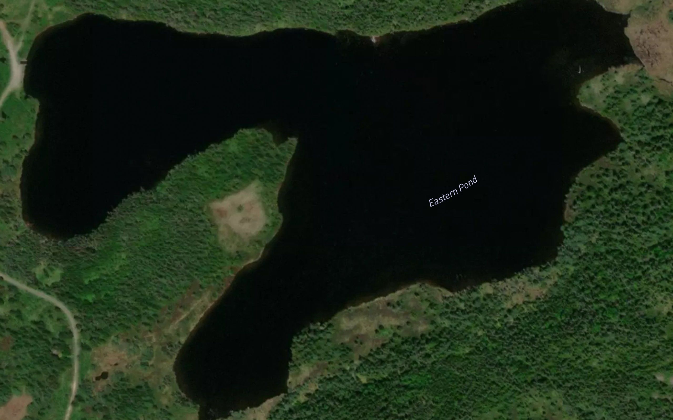 Eastern Pond
