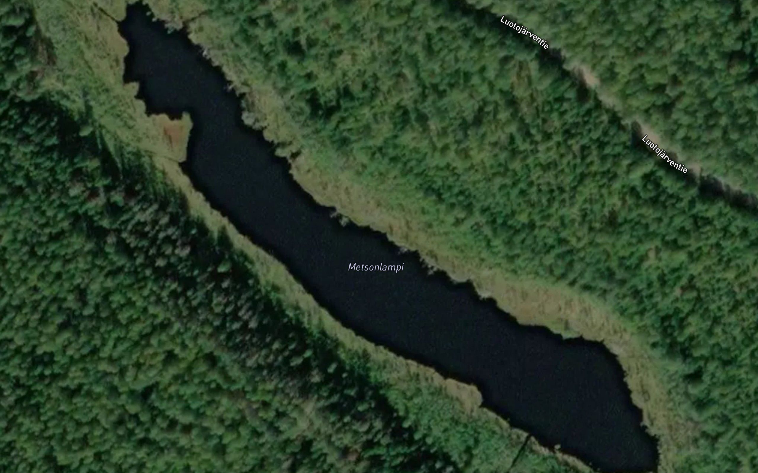 Metsonlampi