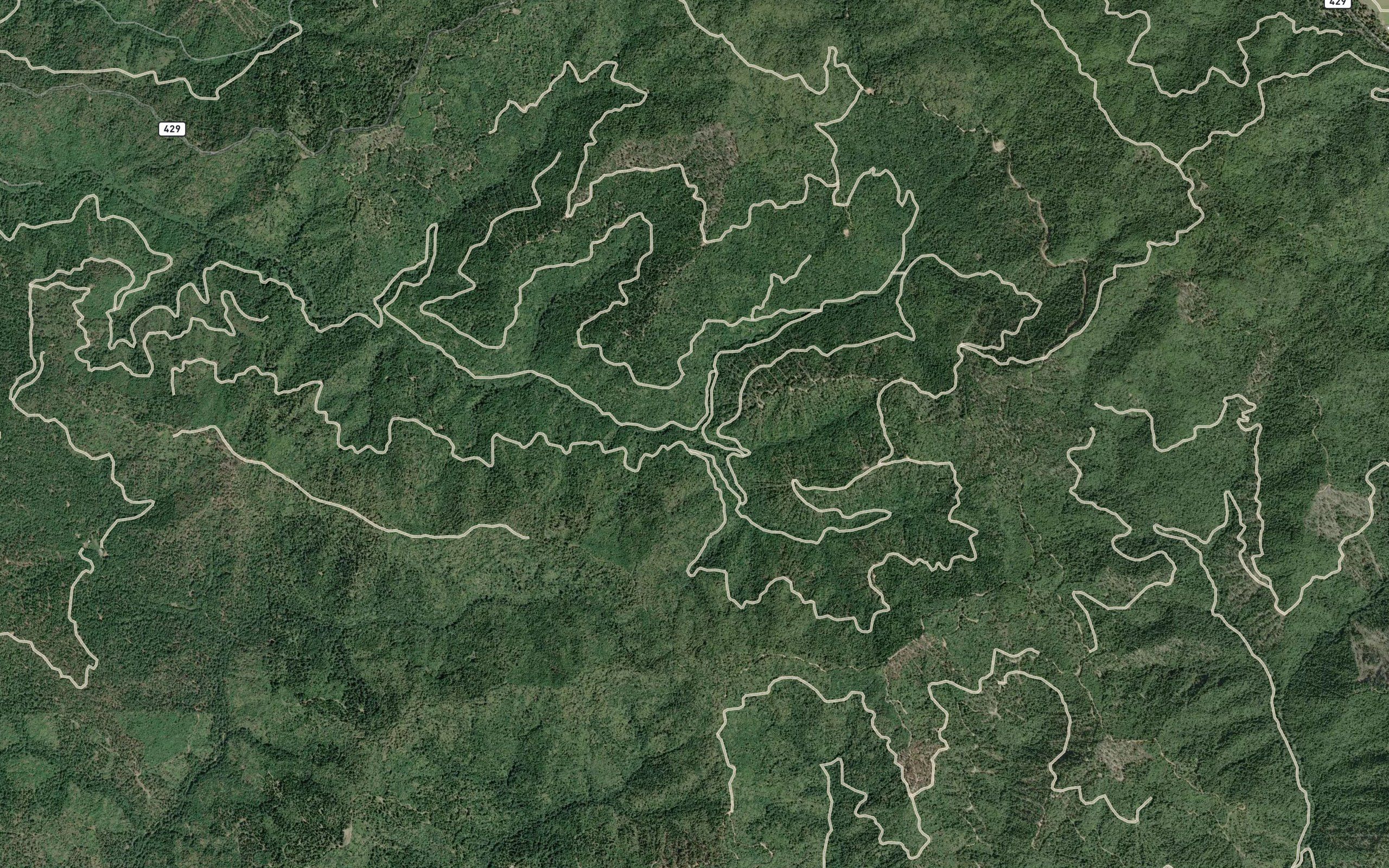 South Fork Wages Creek