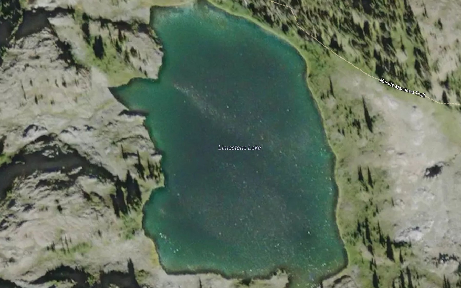 Satellite map of the Limestone Lake