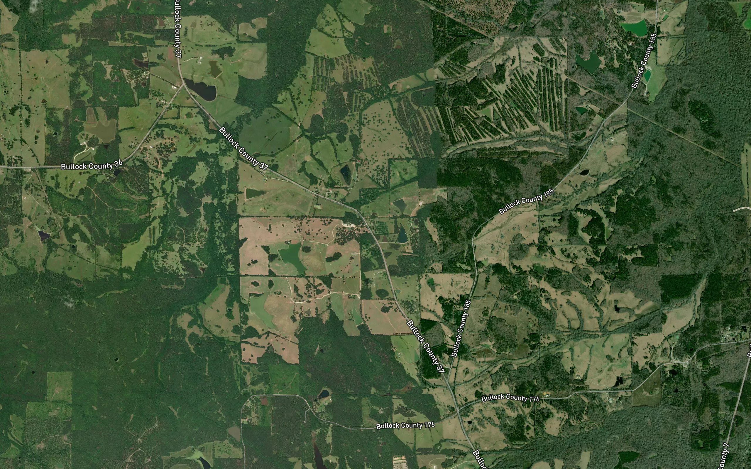 Turnipseed Lake