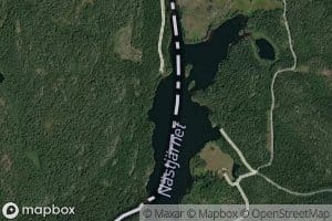 Gressbutjern