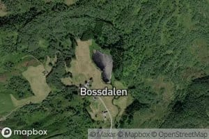Bossdalstjorna