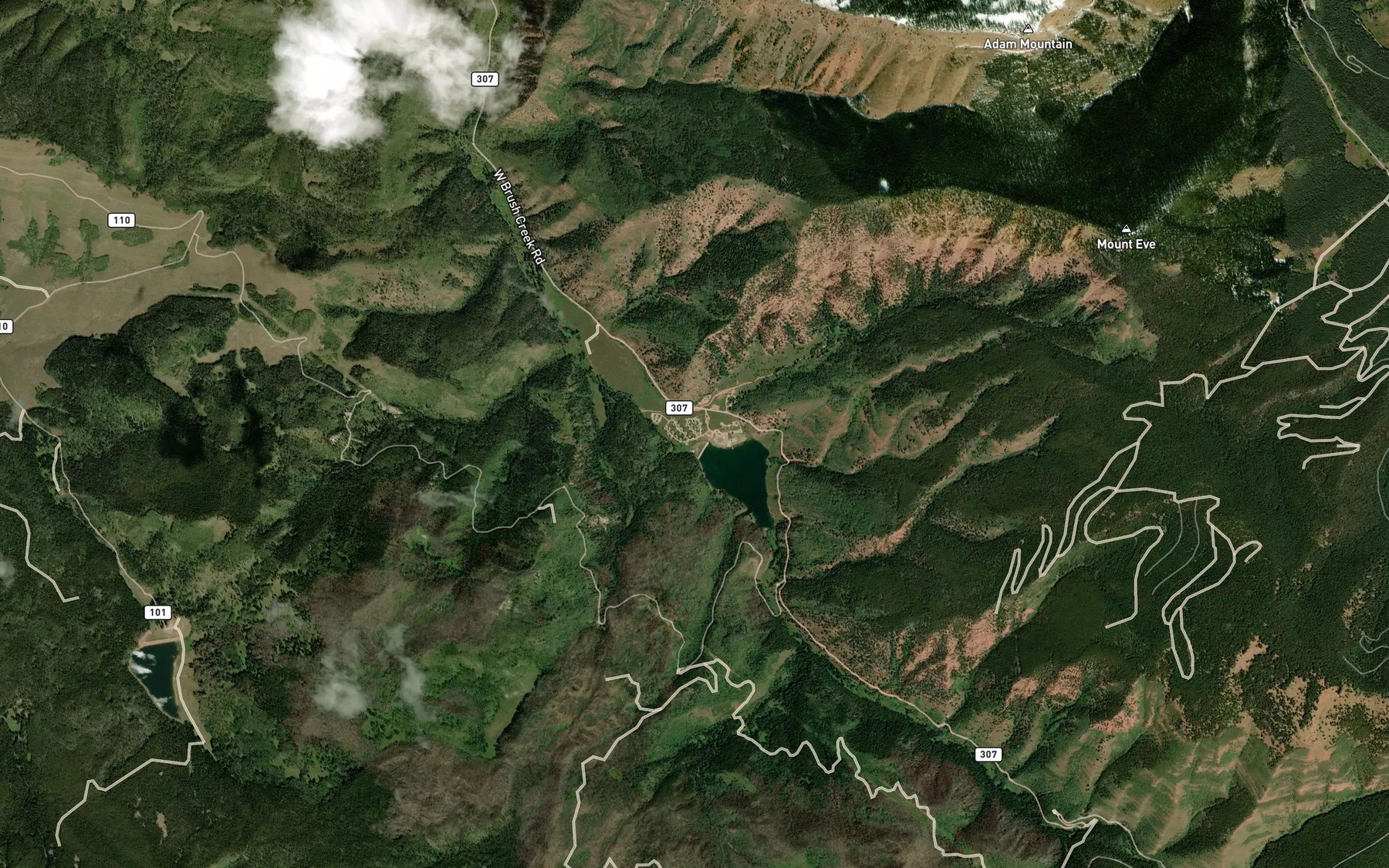 Satellite map of the Sylvan Lake