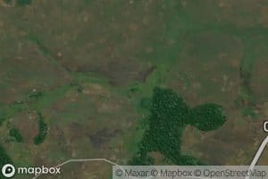 Cangovo