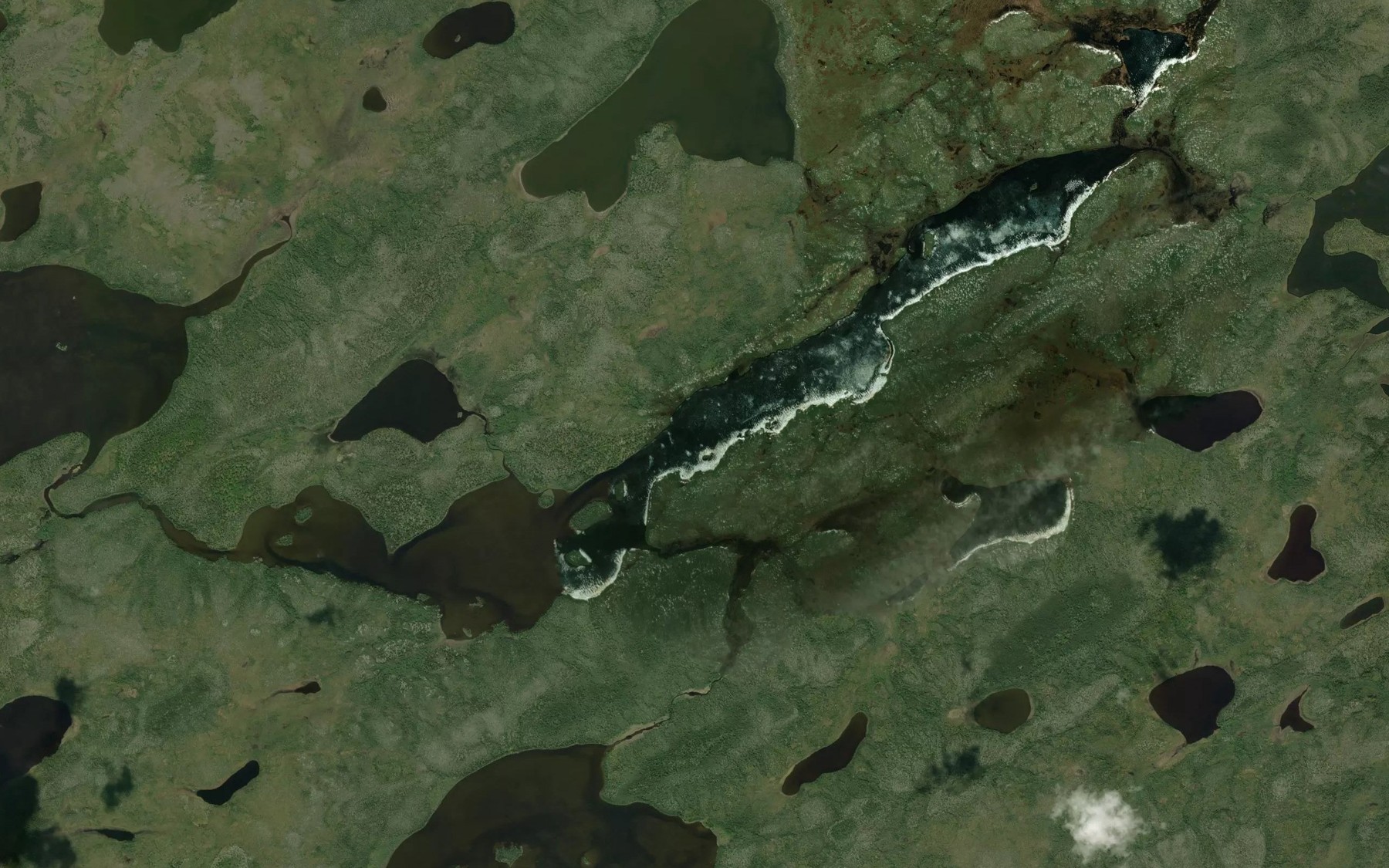Satellite map of the Gummer Lake