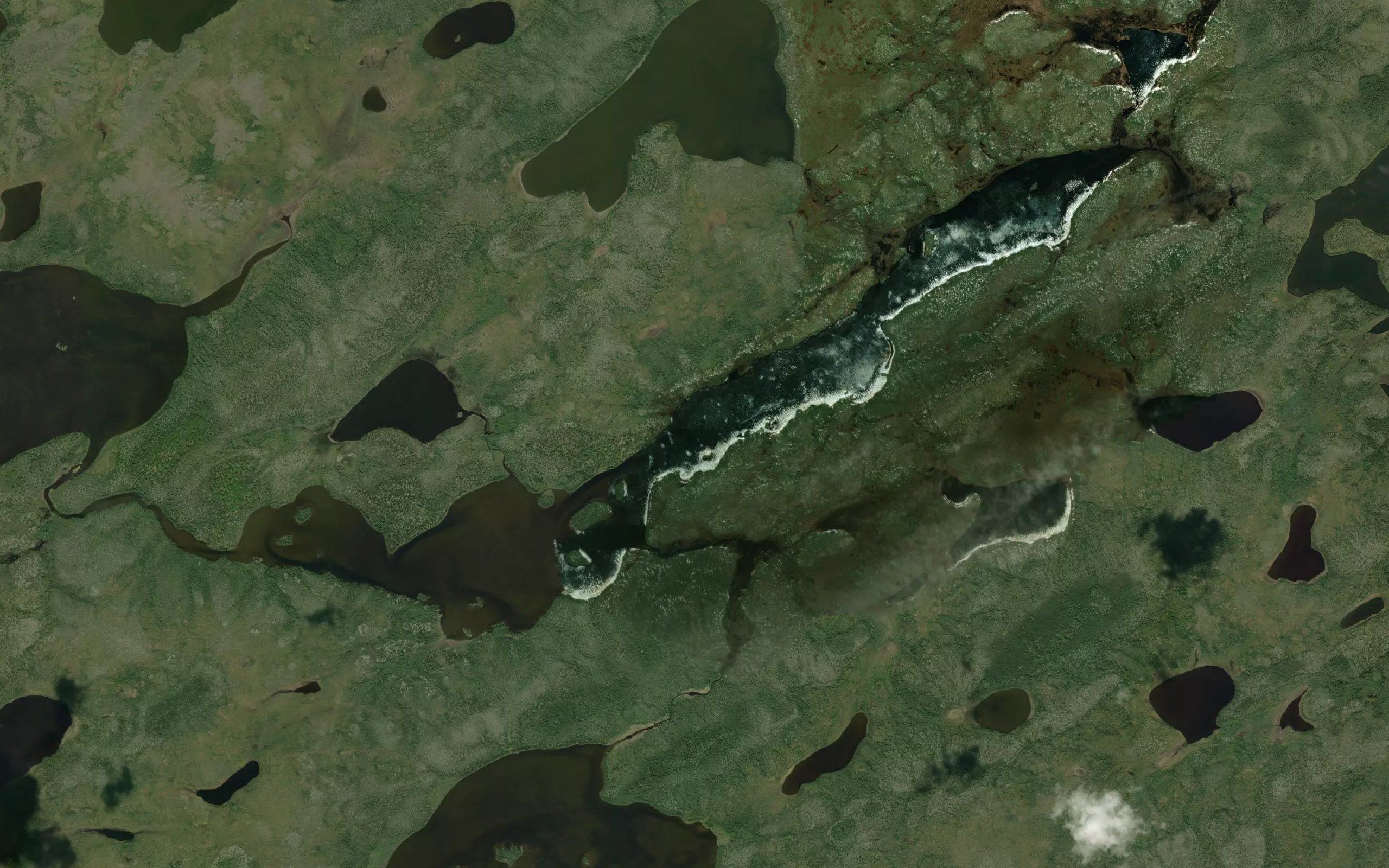 Gummer Lake