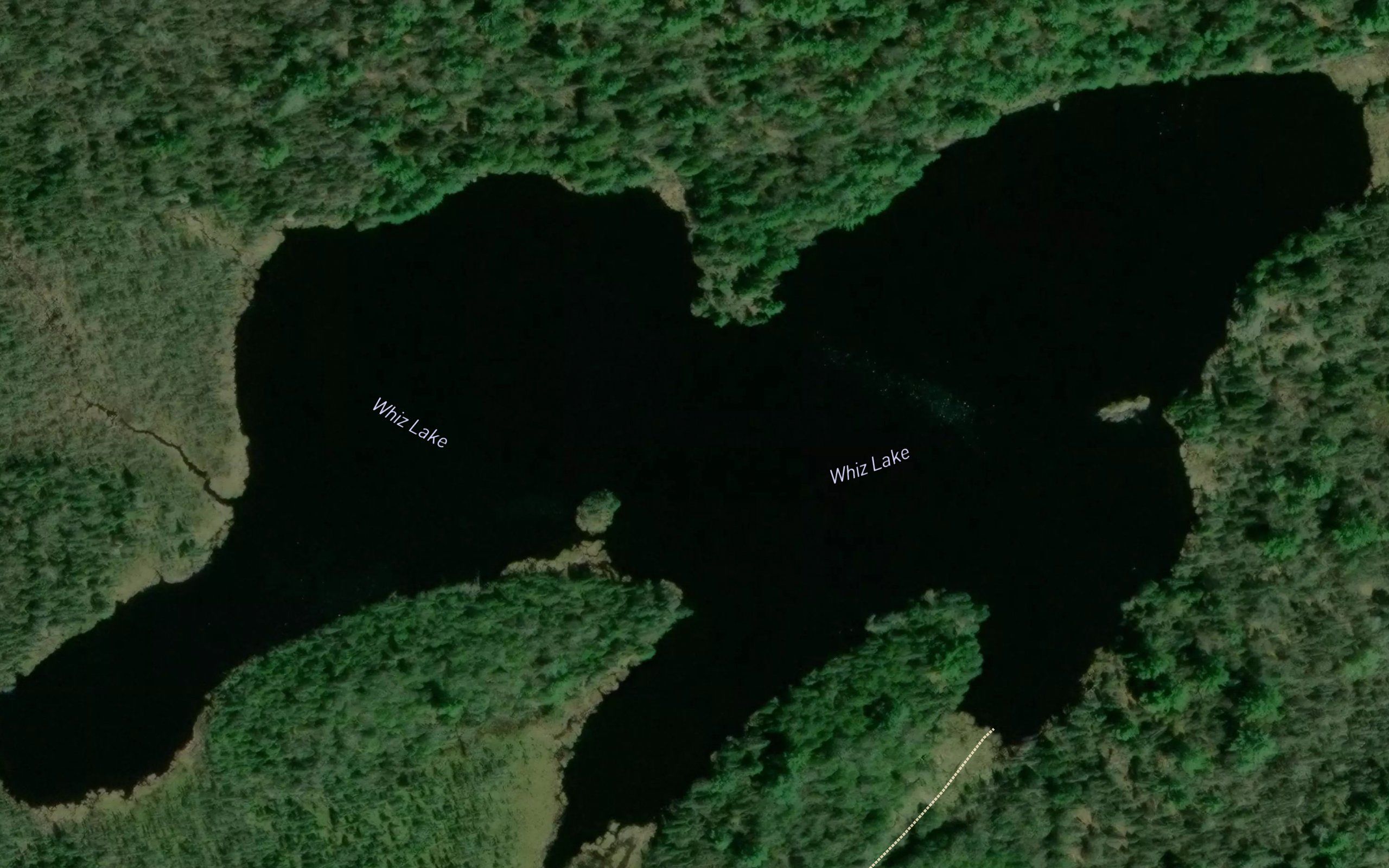 Whiz Lake