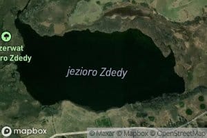 Zdedy