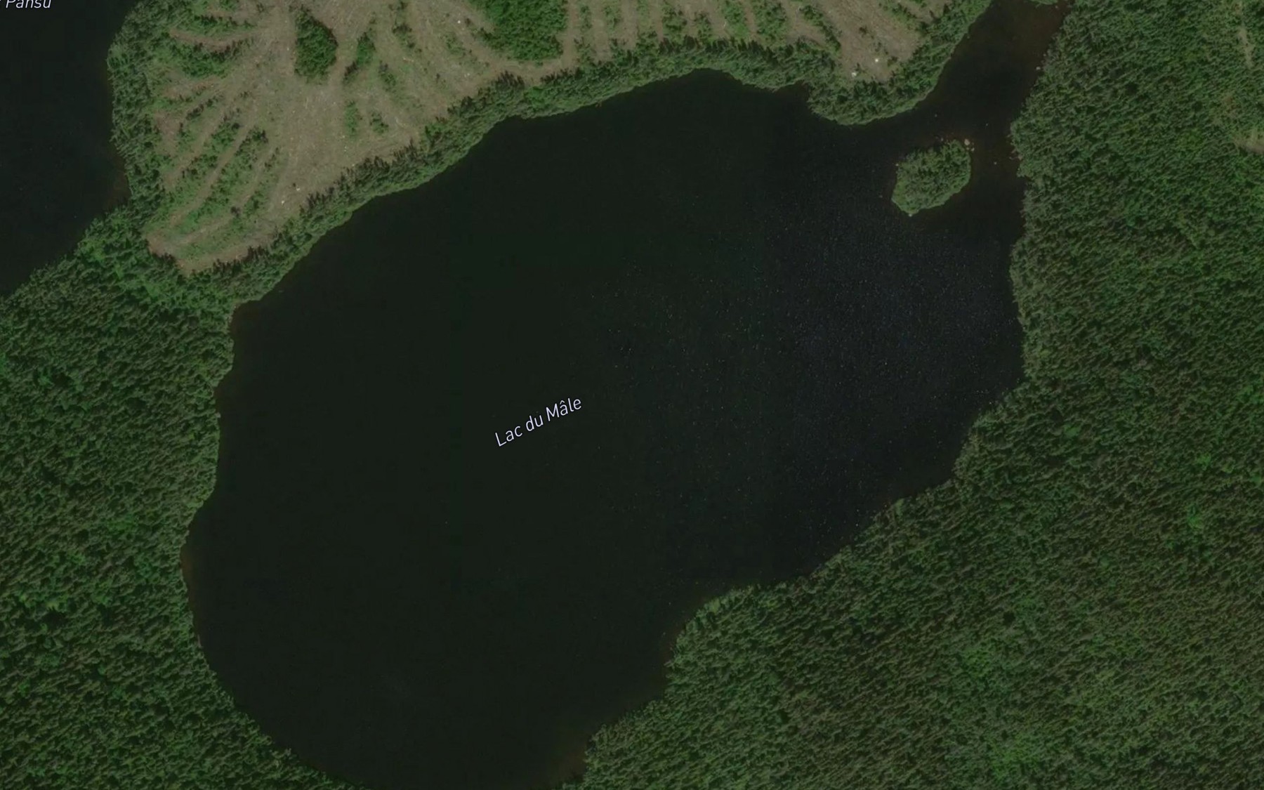 Satellite map of the Lac du Male