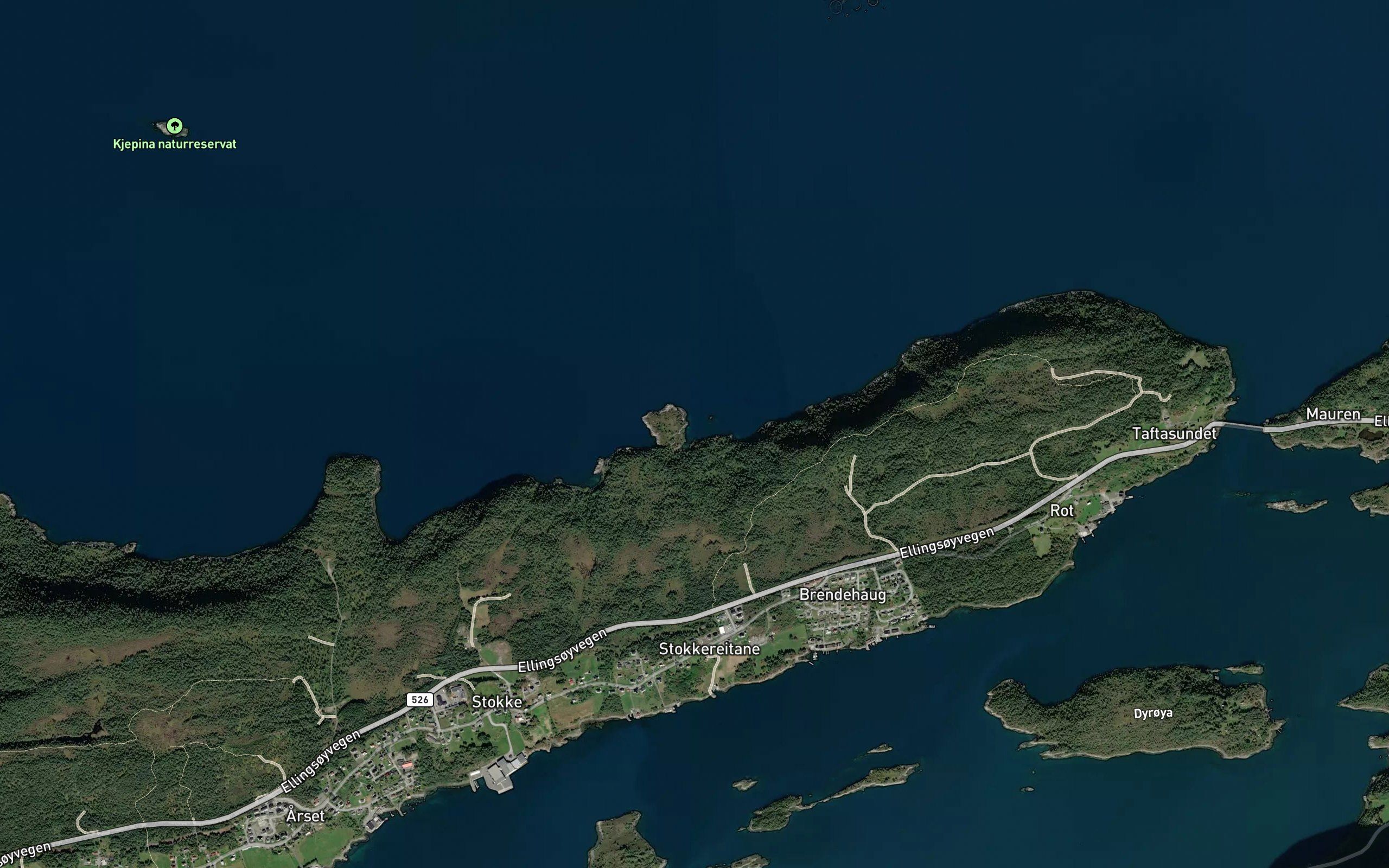 Stokkevika